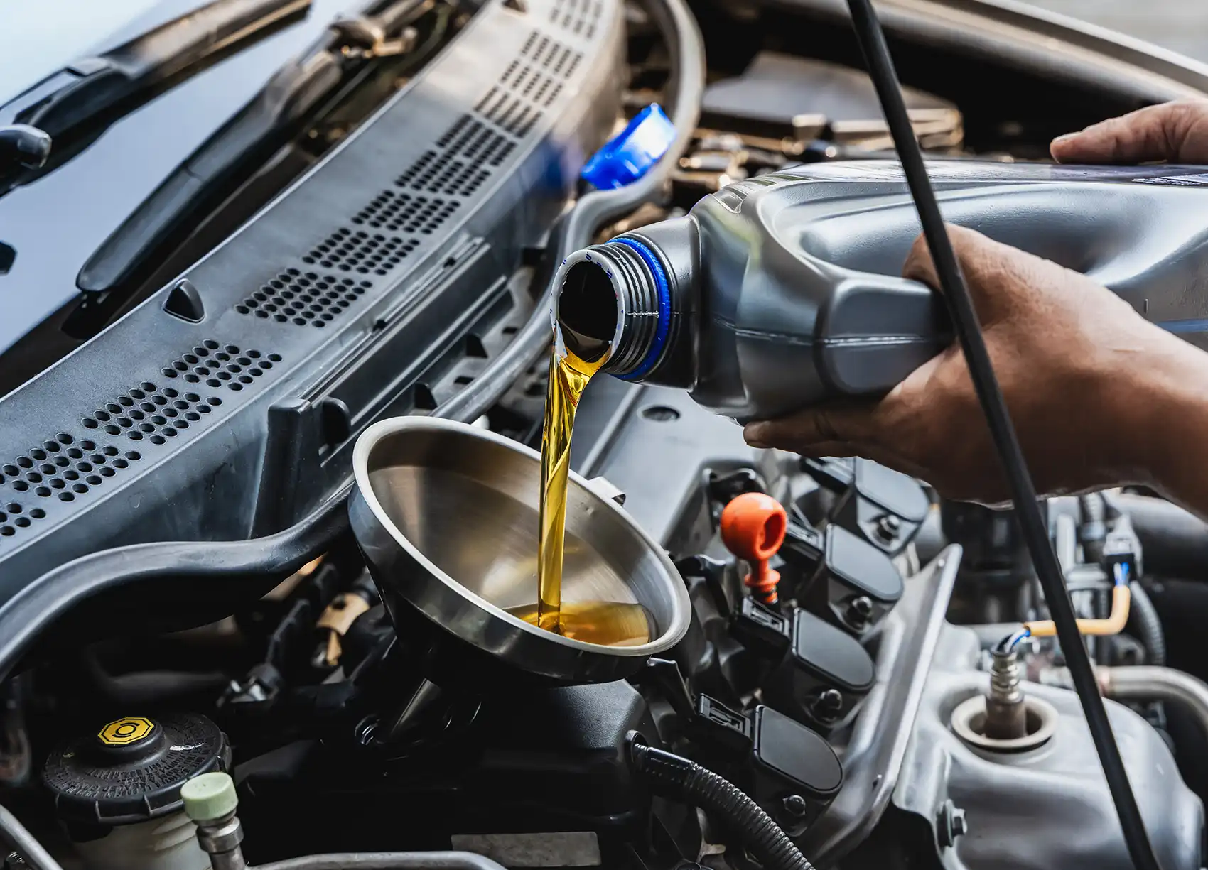Oil Change and Filters